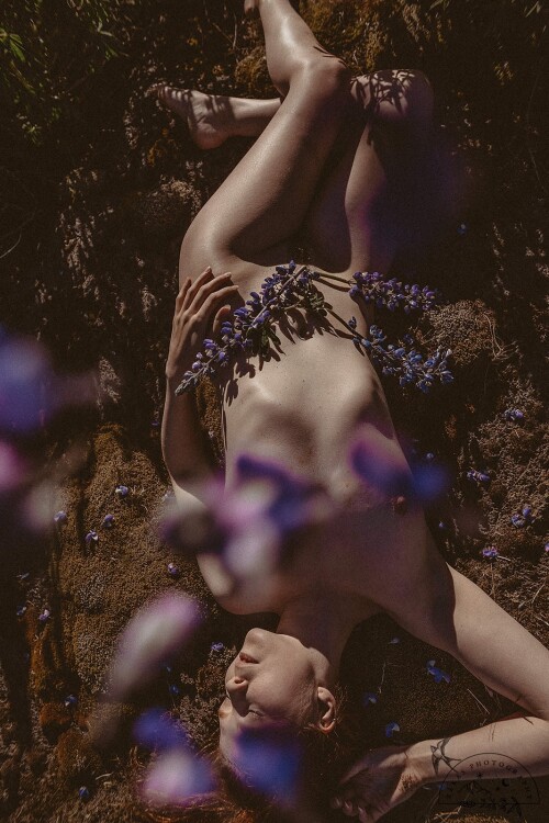 Icelandic Selkie Nude Leaked Onlyfans Photo Icelandic Selkie Nude Leaked Onlyfans Photo