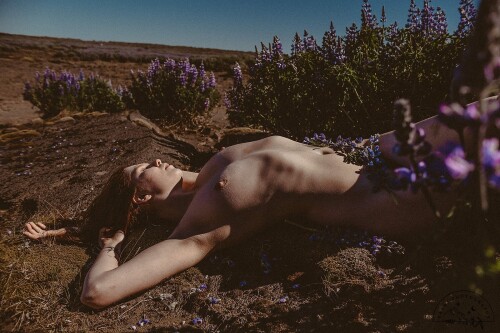 Icelandic Selkie Nude Leaked Onlyfans Photo Icelandic Selkie Nude Leaked Onlyfans Photo