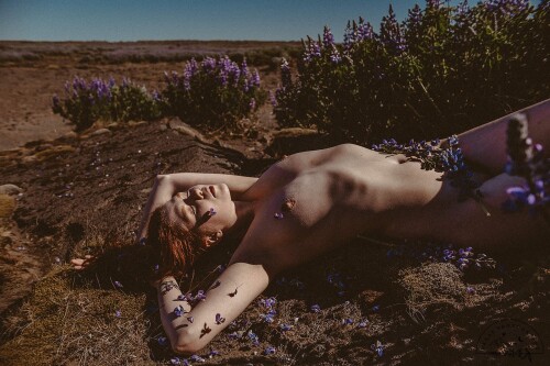 Icelandic Selkie Nude Leaked Onlyfans Photo Icelandic Selkie Nude Leaked Onlyfans Photo