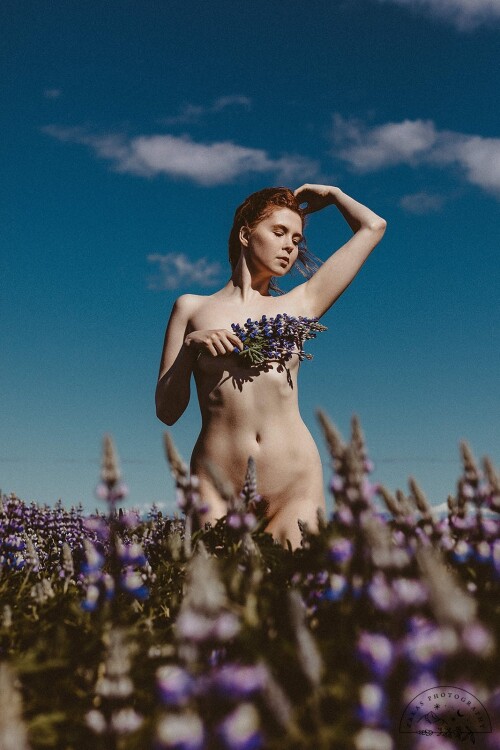 Icelandic Selkie Nude Leaked Onlyfans Photo Icelandic Selkie Nude Leaked Onlyfans Photo