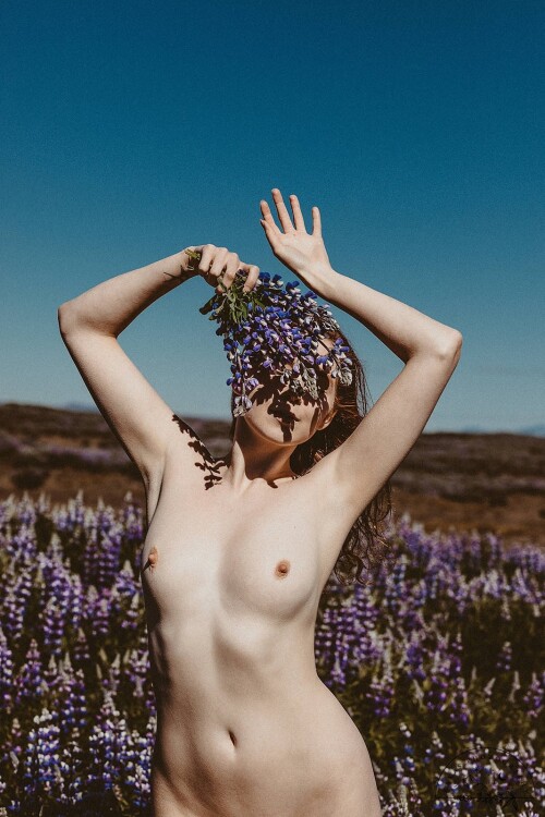 Icelandic Selkie Nude Leaked Onlyfans Photo Icelandic Selkie Nude Leaked Onlyfans Photo