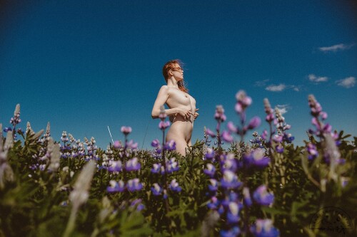 Icelandic Selkie Nude Leaked Onlyfans Photo Icelandic Selkie Nude Leaked Onlyfans Photo