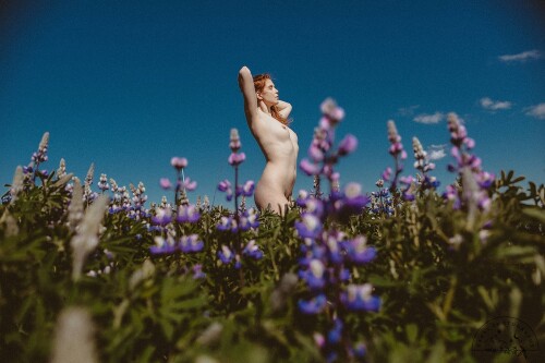 Icelandic Selkie Nude Leaked Onlyfans Photo Icelandic Selkie Nude Leaked Onlyfans Photo