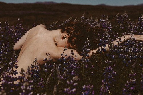 Icelandic Selkie Nude Leaked Onlyfans Photo Icelandic Selkie Nude Leaked Onlyfans Photo