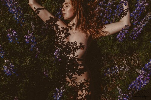 Icelandic Selkie Nude Leaked Onlyfans Photo Icelandic Selkie Nude Leaked Onlyfans Photo