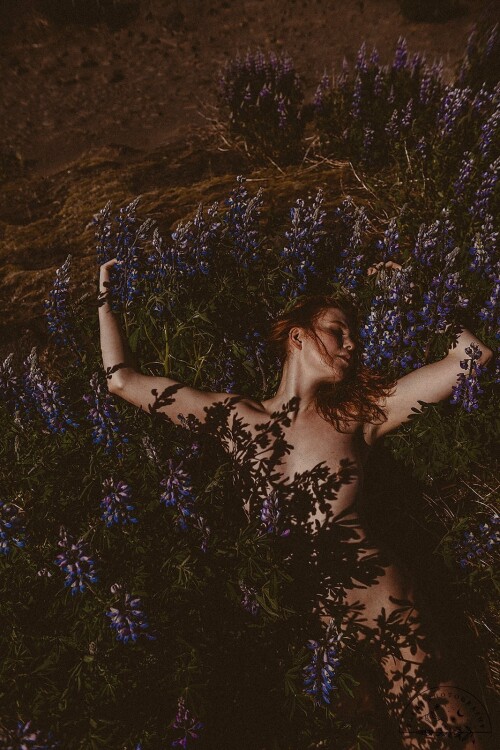 Icelandic Selkie Nude Leaked Onlyfans Photo Icelandic Selkie Nude Leaked Onlyfans Photo