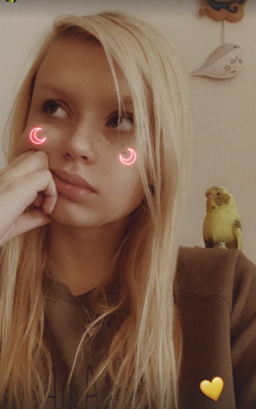 kiki_toy / KikiToy Nude Leaked Onlyfans Photo kiki_toy / KikiToy Nude Leaked Onlyfans Photo