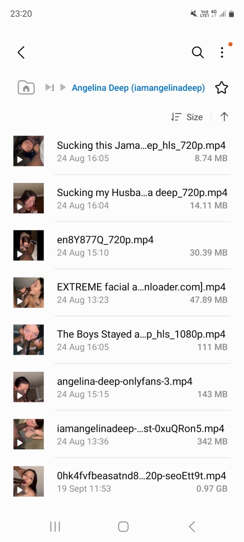 Screenshot_20241015_232055_My-Files77b0adabc7b2ab09.jpg