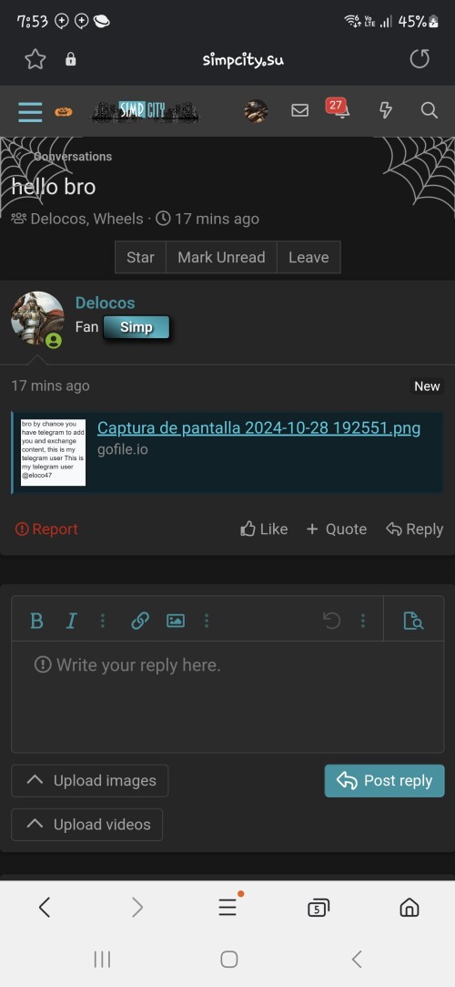 Screenshot_20241028_195350_Samsung-Internet23010aa85ec174b1.jpg