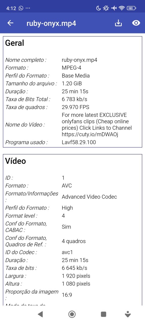 Screenshot_2025-01-01-04-12-38-061_net.mediaarea.mediainfoaca4dd3f9aa3e764.jpg