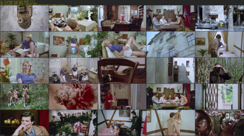 Sechs.Schwedinnen.von.der.Tankstelle.1980.BDRip-ylnian_sbe8bcd62a9a22054.png