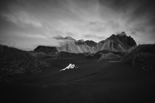 Icelandic Selkie Nude Leaked Onlyfans Photo Icelandic Selkie Nude Leaked Onlyfans Photo