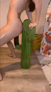Sexymini-_-video-CACTUS-_-ca-a-pique8f55e974524d1429.gif