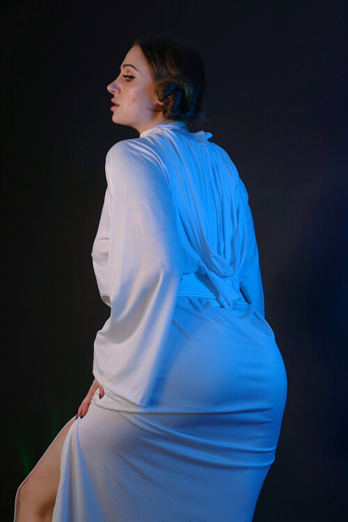 The-Wet-Princess-3d4836c5b858fd550.jpg