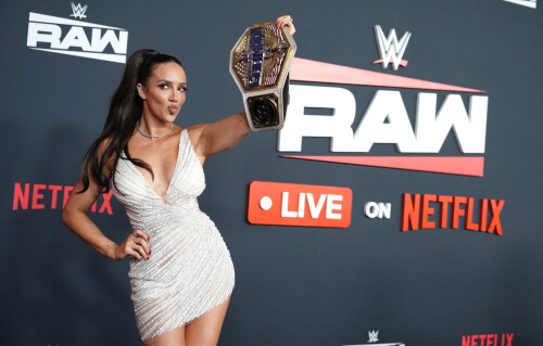 WWE-Netflix-214388c96589cd179f.jpg