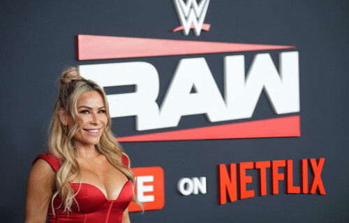 WWE-Netflix-4e3ee23450d9b1084.jpg