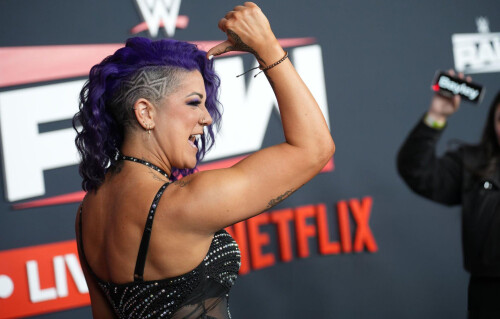 WWE-Netflix-BY324bdded976053894.jpg