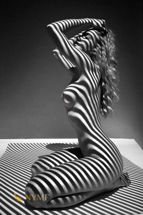 World-of-Shadows-49a048d872c795f86.jpg