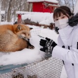 Yuki-3282ffb94007ea876