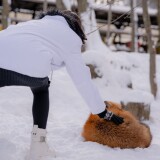 Yuki-4cd9c051f874d722a