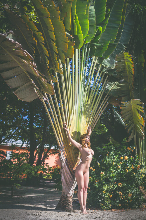 Carlotta Champagne Nude Leaked Onlyfans Photo