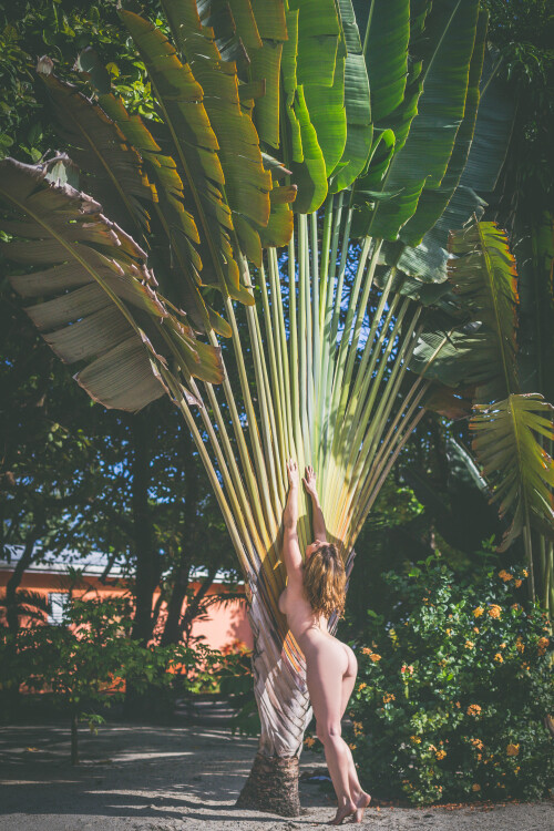 Carlotta Champagne Nude Leaked Onlyfans Photo