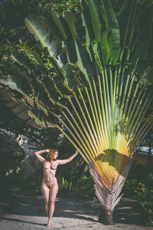 Carlotta Champagne Nude Leaked Onlyfans Photo