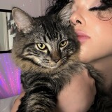 briannagutz__2025-01-01T045450.000Z_37435522c746b2b1d