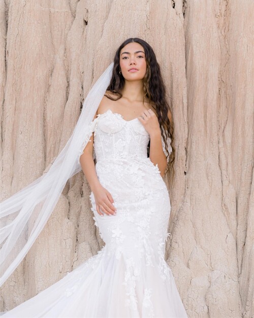 bride-71932763995_n-2d40cbc29950eb027.md.jpg