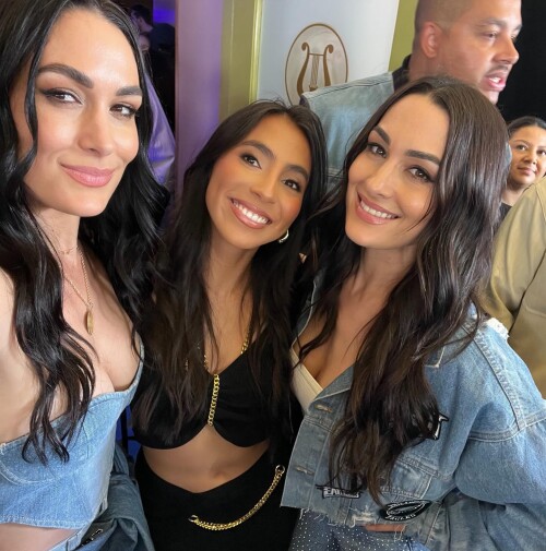 brie_1739025688_3563528214548314376_27688175078ec4867445e7fe.md.jpg