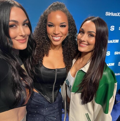 brie_1739025688_3563528214573279688_27688175176fa9c50c20a2d9.md.jpg