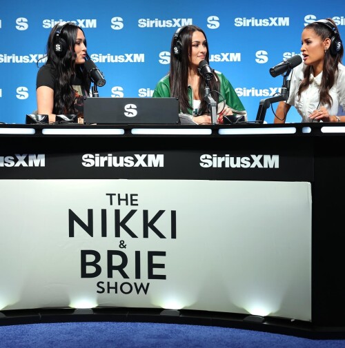 brie_1739025688_3563528214590216427_27688175dd80f023555d5495.md.jpg