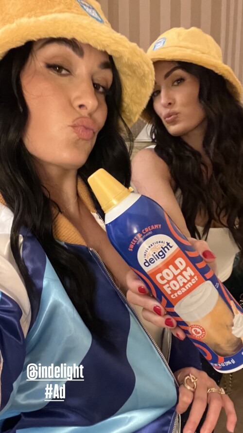 brie_1739058521_27688175cb58c792c2ca4103.md.jpg