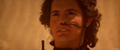 dune2c34d6acb801c0fc.webp