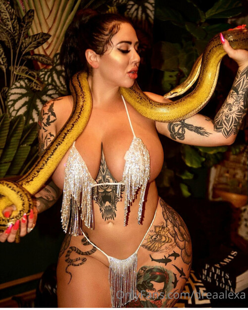 DICKtator aka dreaalexa Nude Leaked Onlyfans Photo DICKtator aka dreaalexa Nude Leaked Onlyfans Photo