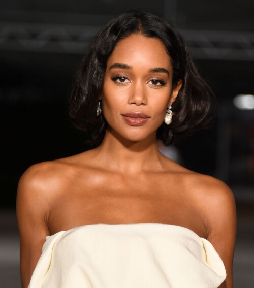 laura-harrier-at-2nd-annual-academy-museum-gala-afterparty-in-west-hollywood-10-15-2022-3.jpg.bf3be730def05d8e643f059a2abf6e9212c8912e66ab0e77.md.jpg