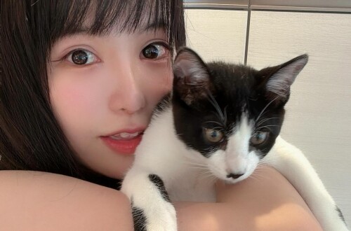 maimai__twitch_C-Prg0JSq3q_27a812158da163017.md.jpg