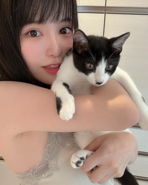maimai__twitch___C_IxRhiSPjO___ad699197681d85e1.md.jpg
