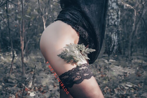 o3-4-01d8a0a6b433de1d0c.md.jpg