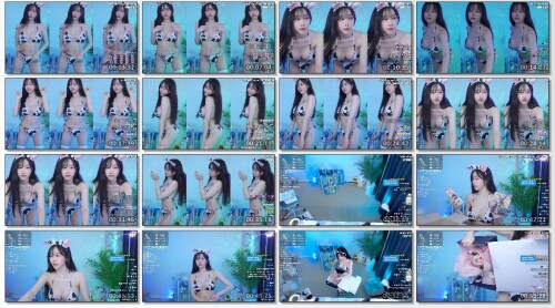 seoi1016_twitch_2dn_2024-10-16-293afa7177ff21d22.md.jpg