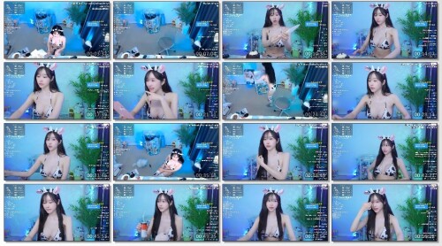 seoi1016_twitch_2dn_2024-10-16-3d5da50c7f62a410c.md.jpg