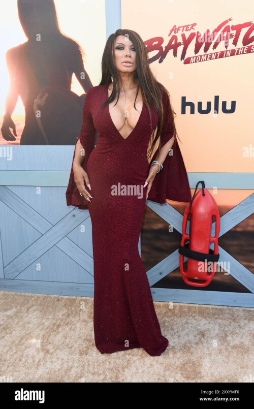 traci-bingham-arrives-at-the-premiere-of-after-baywatch-moment-in-the-sun-at-the-bungalow-santa-monica-on-monday-aug-26-2024-in-santa-monica-calif-photo-by-richard-shotwellinvisionap-2293ebfc4c3805d5e.jpg