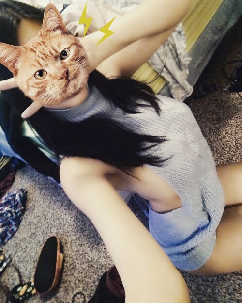 tumblr-onwl819jcP1r5oo2po1-1280d37711bac26aac99.md.jpg