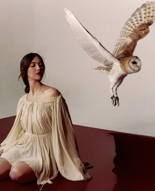 tumblr_23e07682c1117efdfd84ab2df34bb4c5_a733e1a6_12808f53ee4e3059976c.jpg
