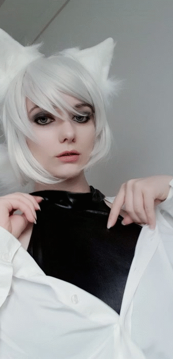 whiteneko_10cb4bb5f76d0e1e4a.gif