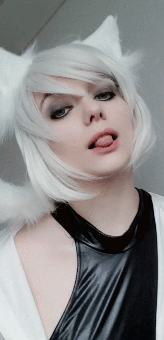 whiteneko_1274a83bd7f7a2dc0a.gif