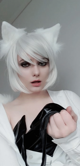 whiteneko_1309fd27b1899a787c.gif
