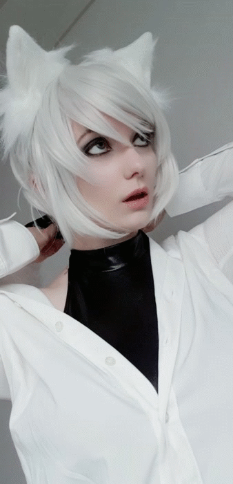 whiteneko_145de79540d7c8ba3a.gif
