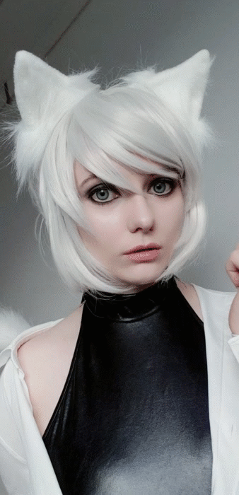 whiteneko_170c39a7e5a3cdeaef.gif
