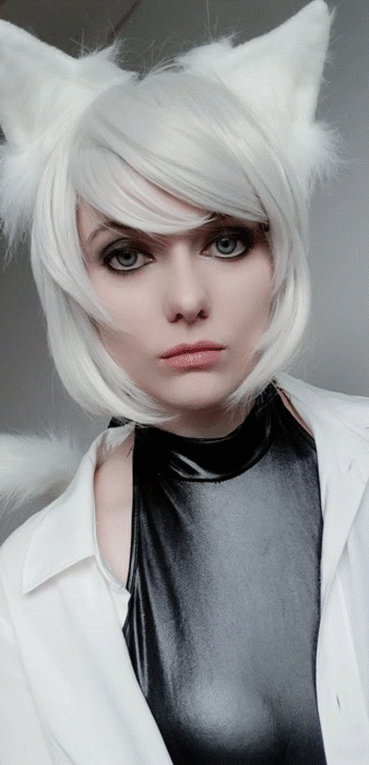whiteneko_416de50c1fcef0d3a.gif